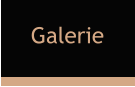 Galerie